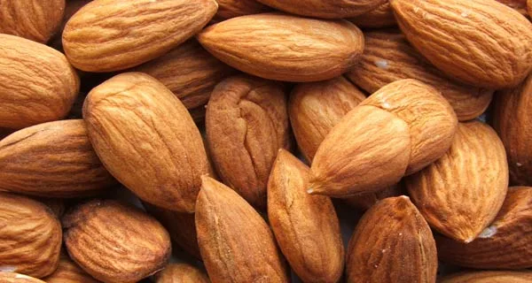 Olio di mandorle dolci proprieta e benefici